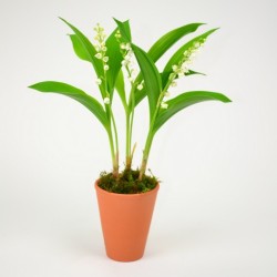 Pot de 3 griffes - Blanc