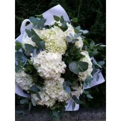 Nacre - Blanc