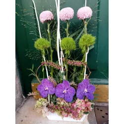 Douceur de printemps - Pastel