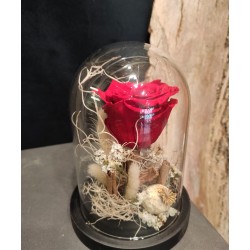 Rose éternelle cloche verre - rouge