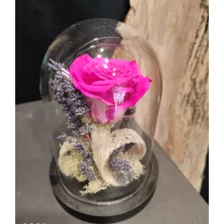 Rose éternelle cloche verre - Rose