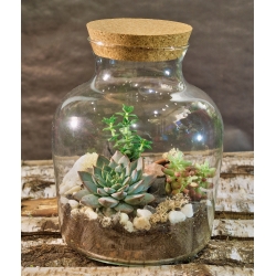 Terrarium